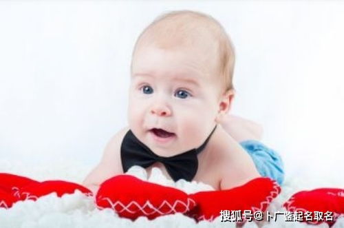 虎年宝宝取名的注意事项：（这一些可千万别忘了！）