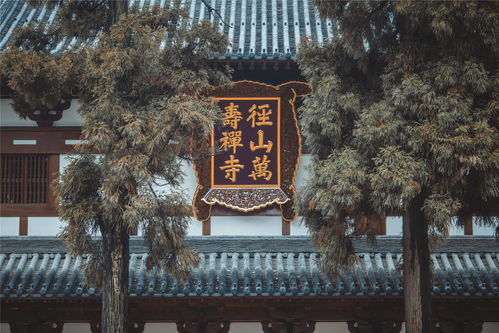 径山寺龙王殿求签求什么灵验？龙王庙求签方法有哪些？