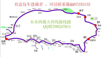 线路设计：混乱才是王道