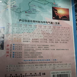 5. 避坑指南：防不胜防的套路