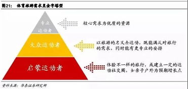 12竞争对手分析与市场需求调研