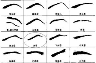 浓眉毛的男人命运如何，他们的命运是否特别？