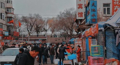 为哪些要搬迁？
