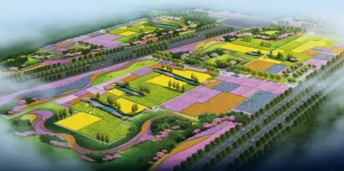 第四章：未来规划是什么？