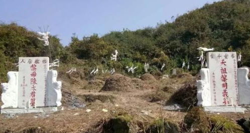 不动坟改风水,不动祖坟调理祖坟风水