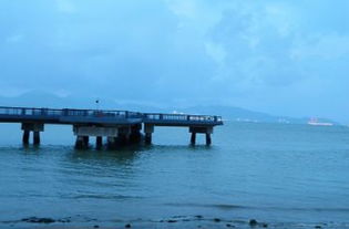 门票？不存在的！