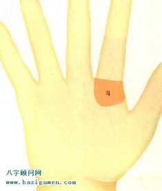 水星丘手相图和木星丘手相图片大全分别有哪些？