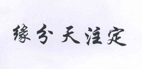 震惊！剑锋金夫妻竟有这些不为人知的秘密
