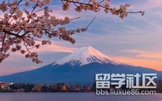 一、 邂逅SK的魅力