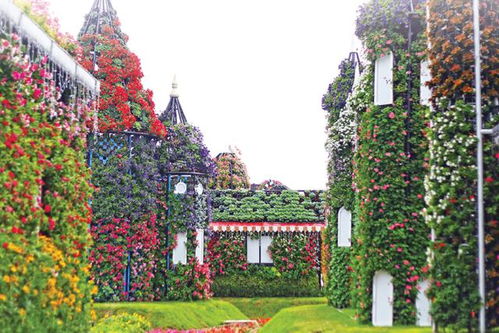 故宫里的植物较大盘点：别出心裁的“较小众”之美