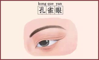 眼角破相的面相风水图解,眼角破损是什么原因