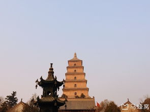 第一眼印象——城墙与梨园