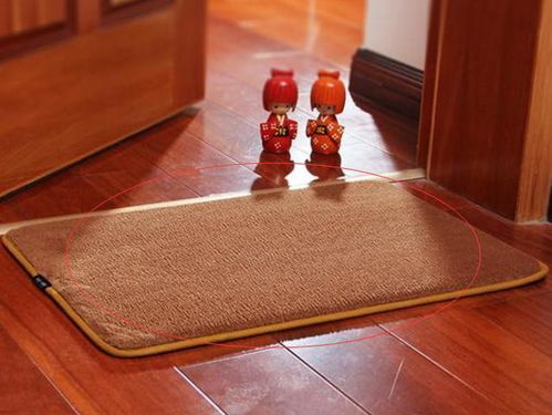 入户地垫什么颜色风水好,入户地毯