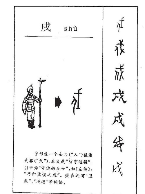 寅