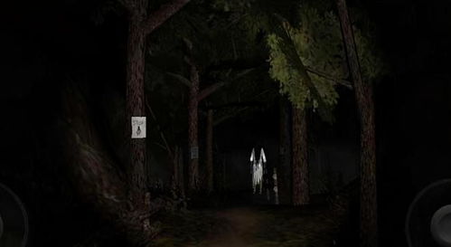 第四章：易经卦象的凶险预警