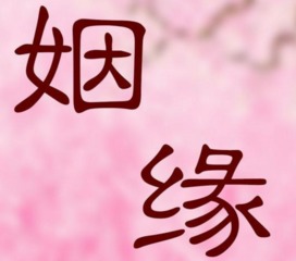算命口中的动婚指的是什么，能否详细解释一下这个婚姻动期的含义？
