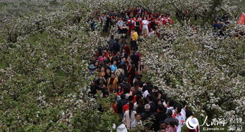 惯与晚饭的那些事儿