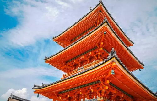 旅行季节与体验差异化阐述（噪音版）