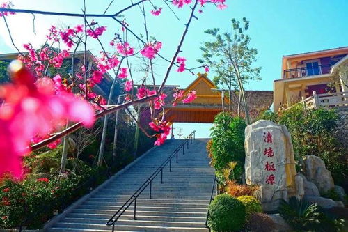 位置？鬼才找得到！