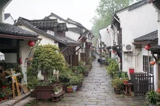 书圣故里：文雅包装下的人流搬迁