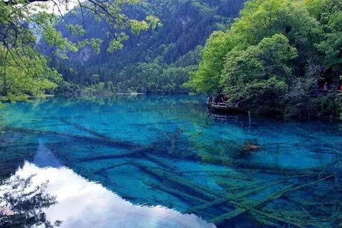 E. 火锅山谷——四川某山谷里的野炖火锅现场（自备锅）