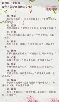 古文诗词：寻找灵感的宝藏