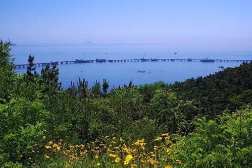 春意盎然的鲅鱼圈，一场山海盛宴的启程