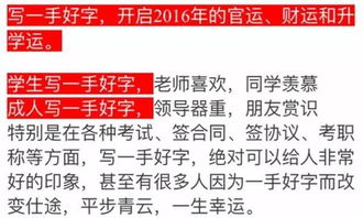 前言：别再把名字当成“鸡汤”了