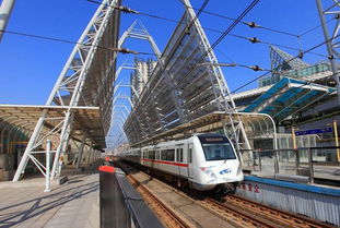 周边推荐：从北沙滩出发可以轻松抵达哪些值得打卡的地方？