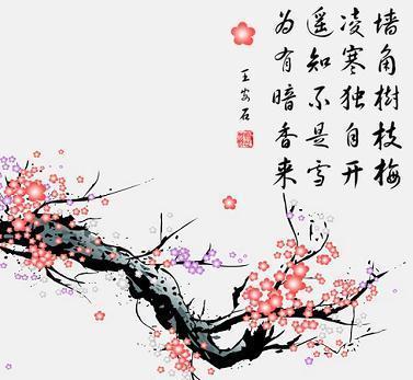 梅花精神层面：名字中的探索基因