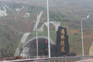 自驾游？傻子才开车！