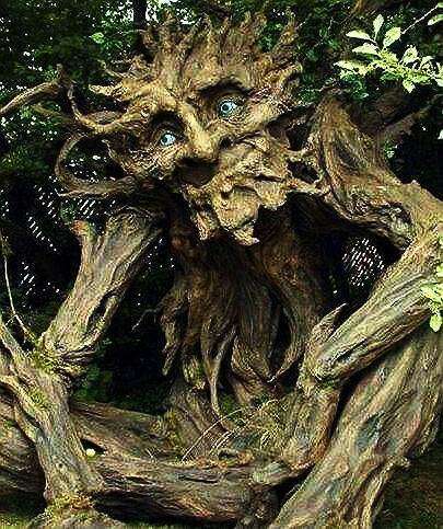 哪些植物具有吃人特性，会对人类造成危害？