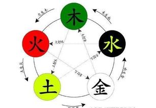 树木生金？怕是没睡醒！