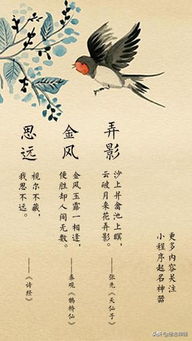 从诗词歌赋中汲取灵感
