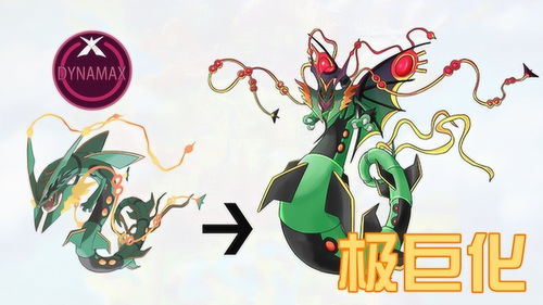 龙年宝宝：霸气外露梗要小心