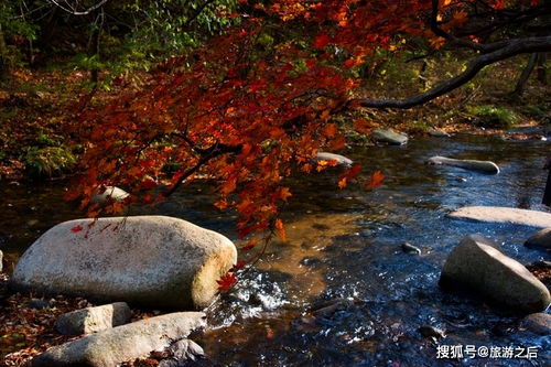 七、本地较小贴士