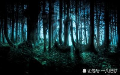金牛与地气