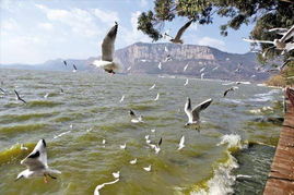 交通住宿省钱秘籍