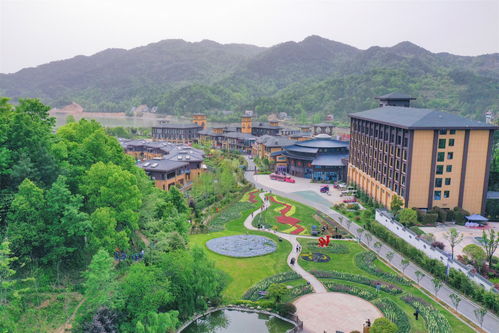 亲子游玩， 乐趣无穷