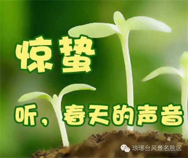 惊蛰春雷唤醒，千年习俗传承爆款