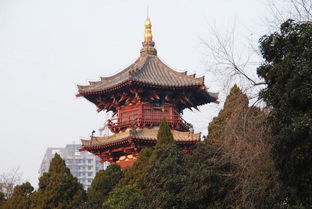 开元寺：千年古刹的庄严与喧嚣