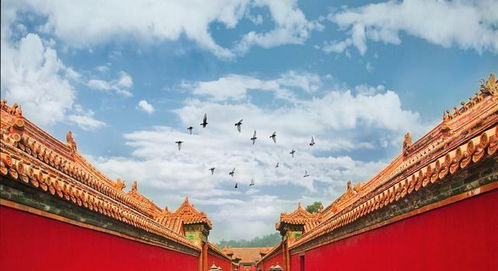 二、太和殿里的秘密：乾隆皇帝和他的…蛐蛐？