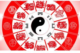 羊羊：今天你就是个佛系青年