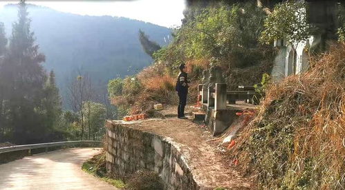 农村祖坟一眼就能看出吉凶吗？如何快速判断祖坟风水好坏？