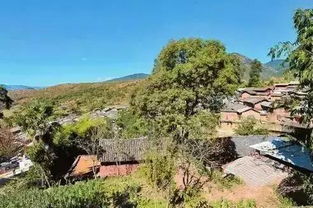 三、清源山——石头会讲笑话？