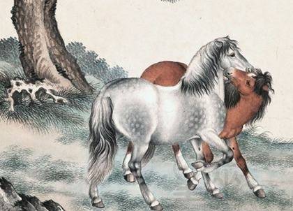 属马人三十岁命运如何,属马三十岁是什么八字女命