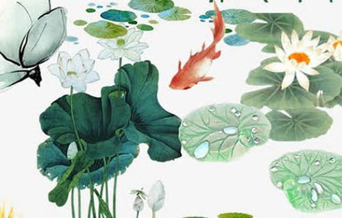 蕾字五行属性与寓意解读