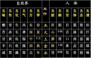 五行之土：死板的砖头