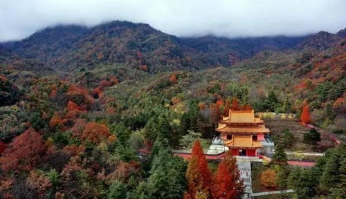 勉县旅行， 崭新篇章的开启