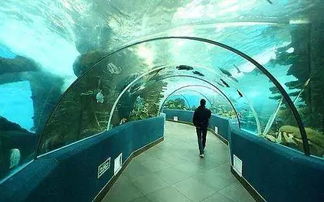 购物：人傻钱多速来